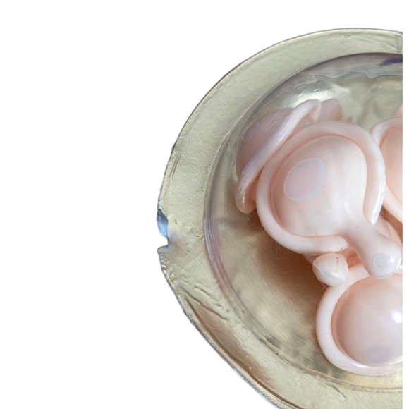 Elizabeth Arden CERAMIDE- ADVANCED TIME COMPLEX 14 Capsules - Picture 3 of 4